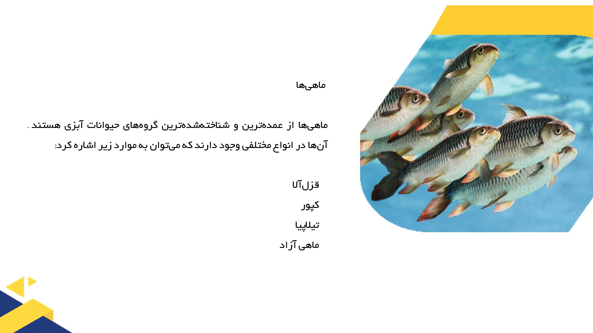 پاورپوینت در مورد انواع حیوانات آبزی